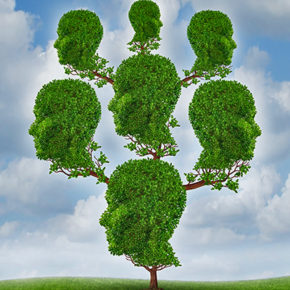 20386541 - family tree and community network as a social and business relationship concept as a plant shaped as a group of connected human heads growing together in a partnership for success on a sky background