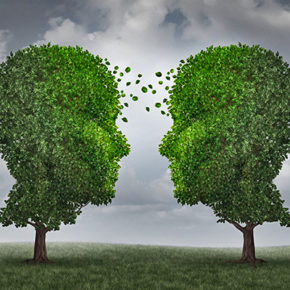 42215311 - communication and growth concept as a growing partnership and teamwork exchange in business with two trees in the shape of human heads on a sky with leaves exchanging from one face to the other as a concept of cooperation.