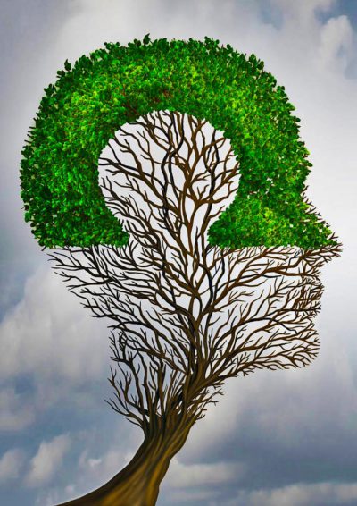 50924297 - perfect business partnership as a connecting puzzle shaped as two trees in the form of human heads connecting together to complete each other as a corporate success metaphor for cooperation and agreement as equal partners.