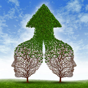 14837711 - growing together partnership with two trees in the shape of human business men heads merging as one to form a successful team resulting in fertile growth ass a leaf arrow pointing up